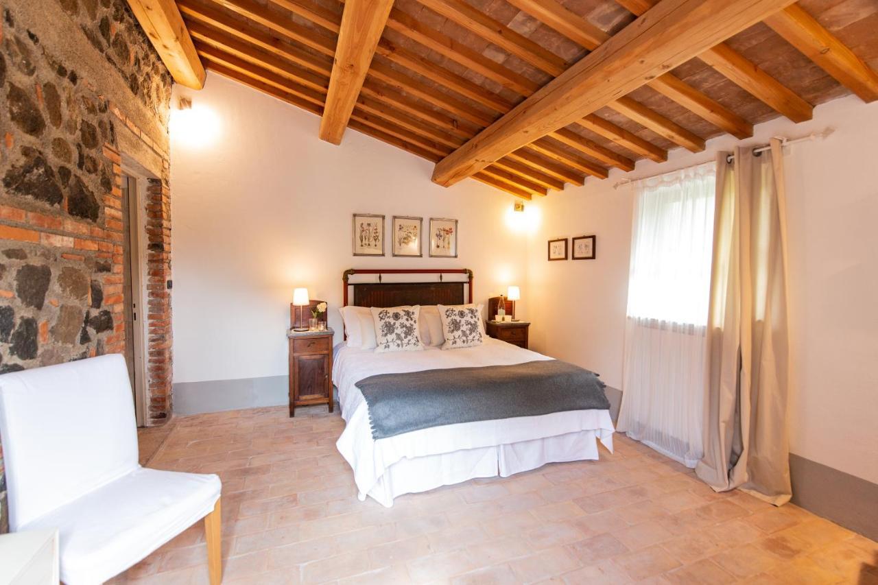 Agriturismo Borgo Di Campagna Il Tesoro Torre Alfina 外观 照片